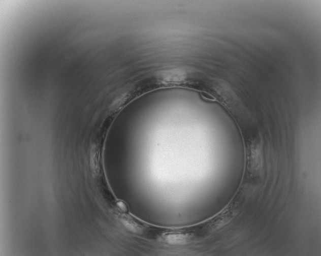 X0000062840228200601171453