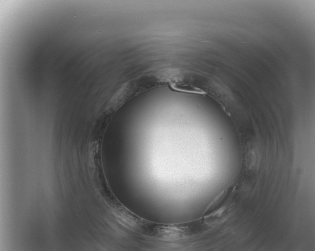 X0000062840229200601171453