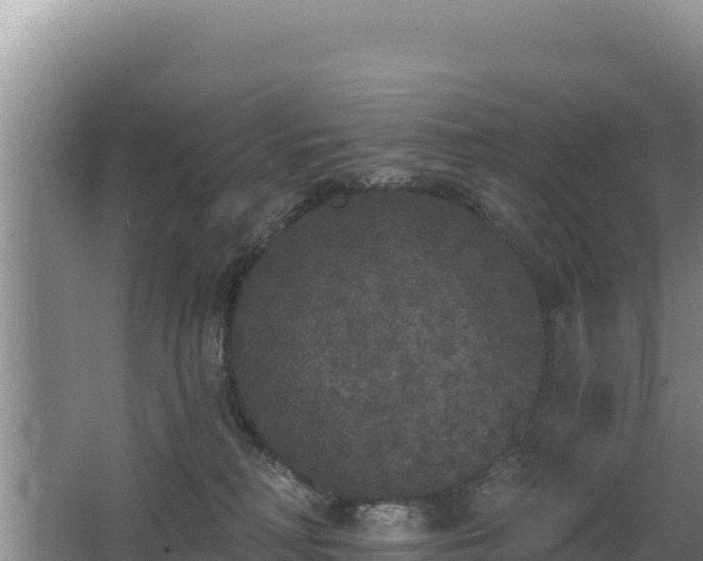 X0000062840230200601171453