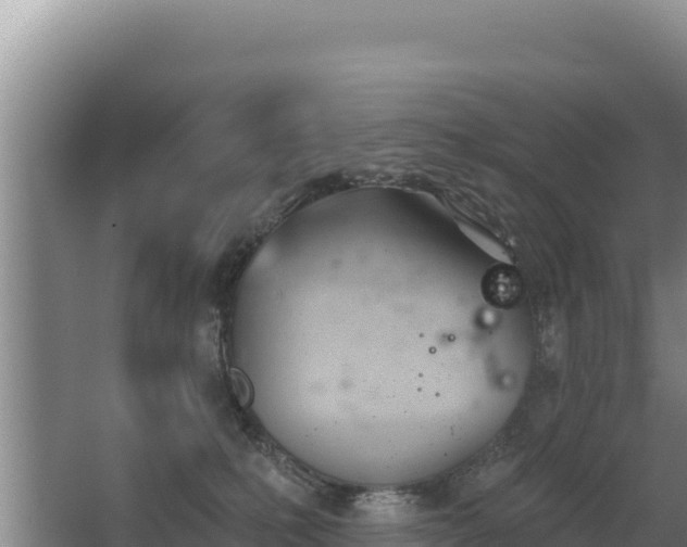 X0000062840231200601171453