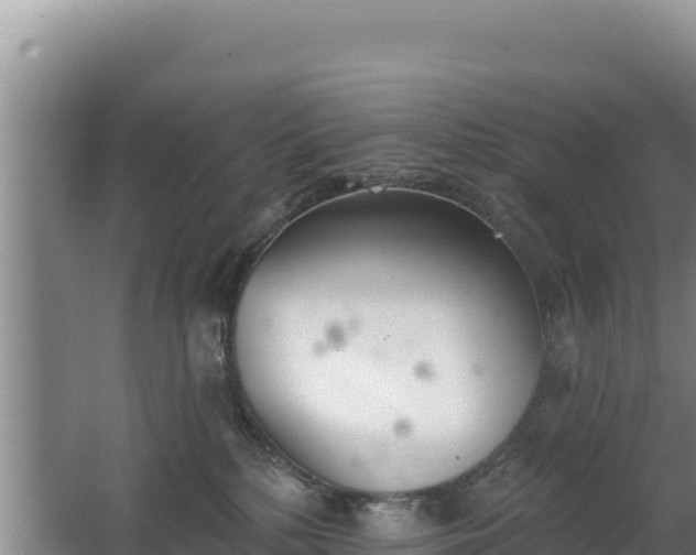 X0000062840232200601171453