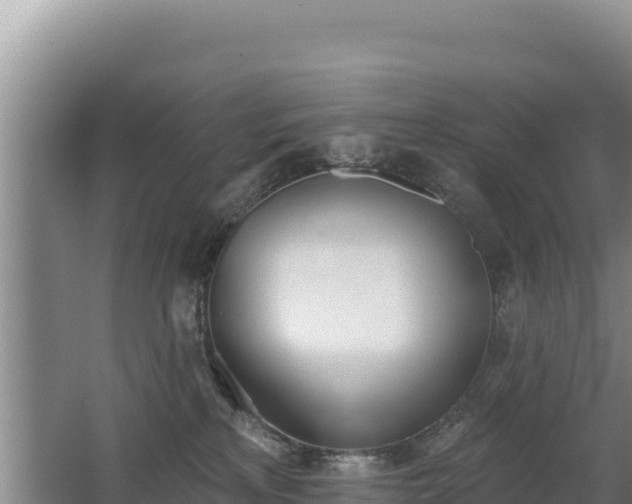 X0000062840233200601171453