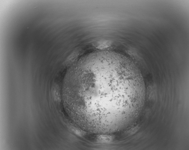 X0000062840234200601171453