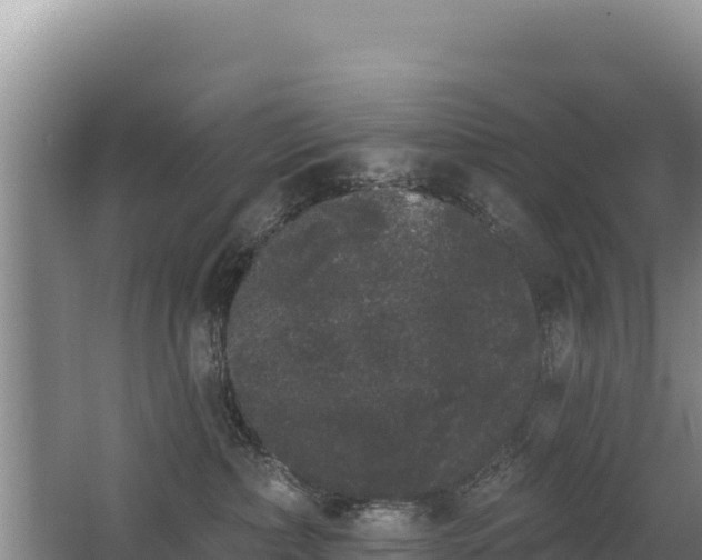 X0000062840236200601171453