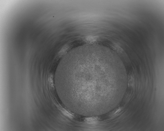 X0000062840238200601171453