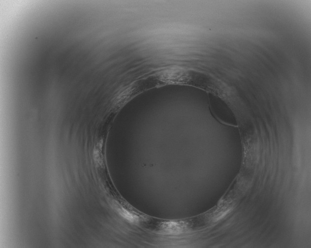 X0000062840239200601171453