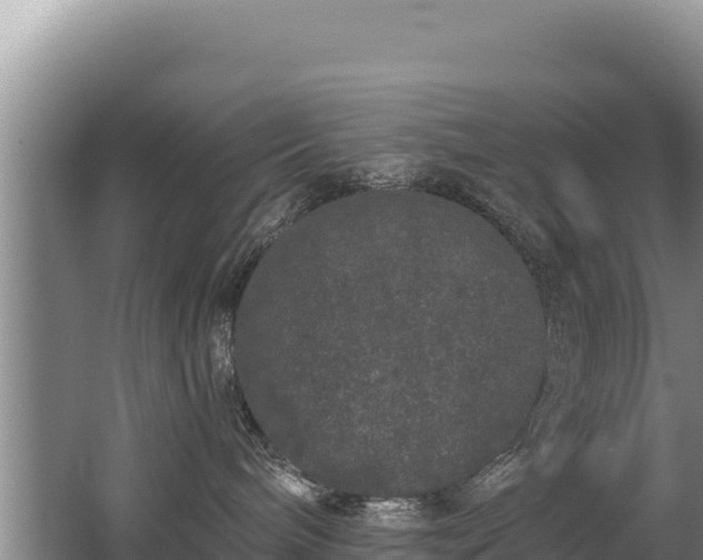 X0000062840240200601171453