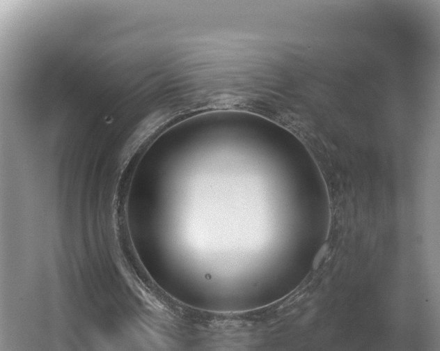 X0000062840242200601171452