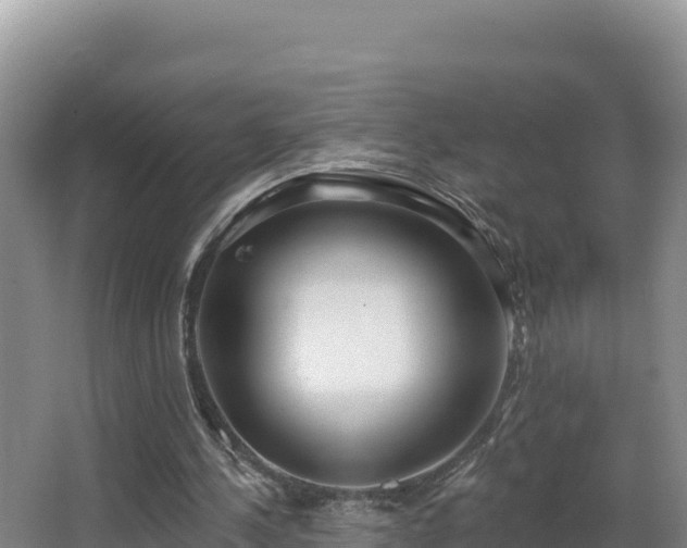 X0000062840244200601171452