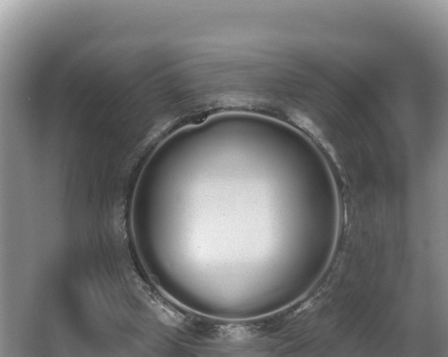 X0000062840249200601171452