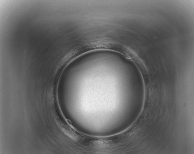 X0000062840250200601171452