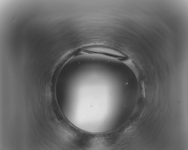 X0000062840252200601171453