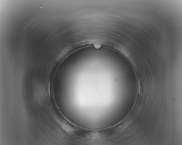 X0000062840253200601171453