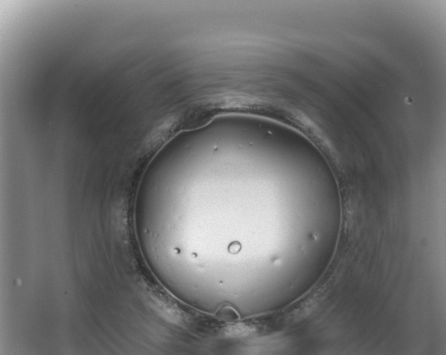 X0000062840257200601171453