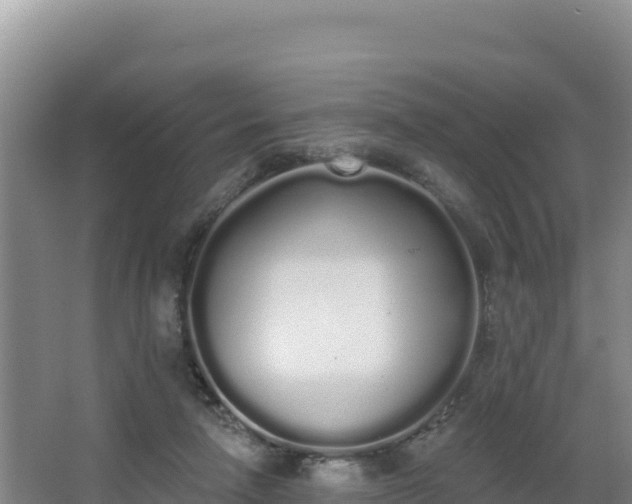 X0000062840258200601171453