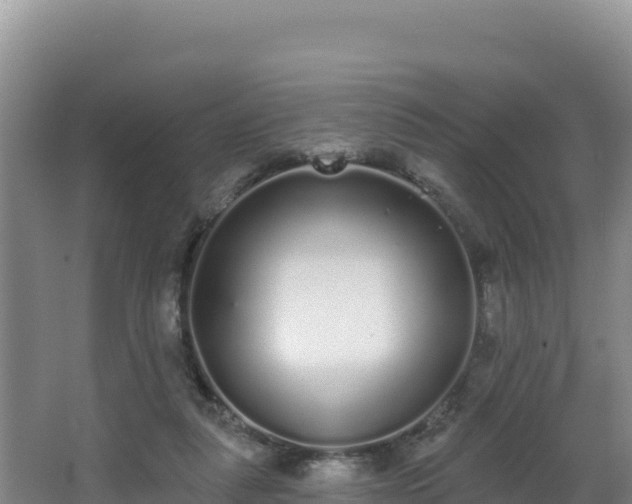 X0000062840259200601171453