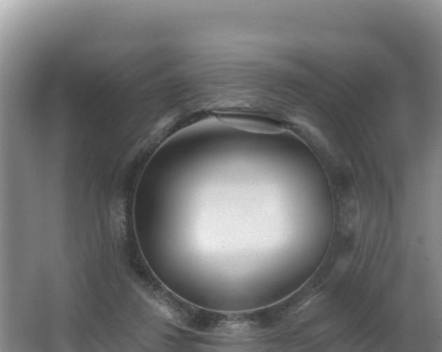 X0000062840260200601171453