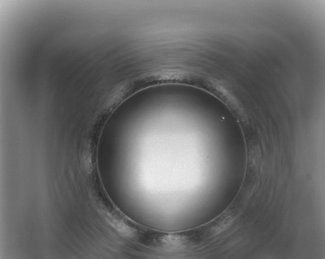 X0000062840261200601171453