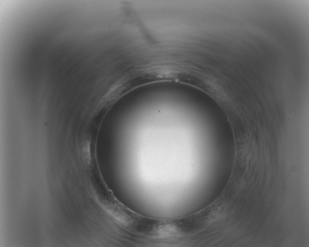 X0000062840262200601171453