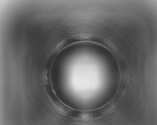 X0000062840264200601171453