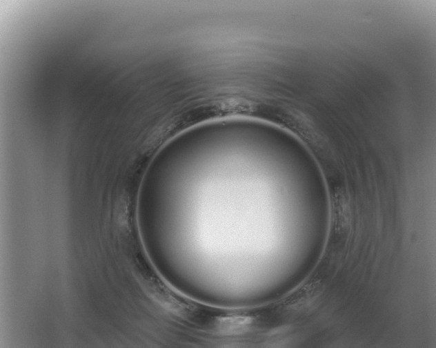 X0000062840266200601171453