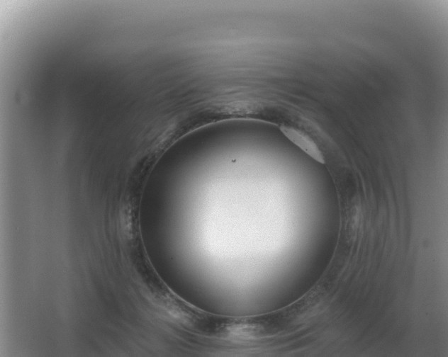 X0000062840268200601171453