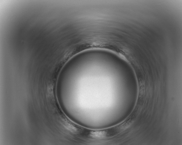 X0000062840269200601171453