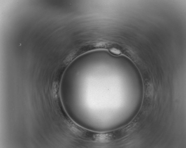 X0000062840273200601171453