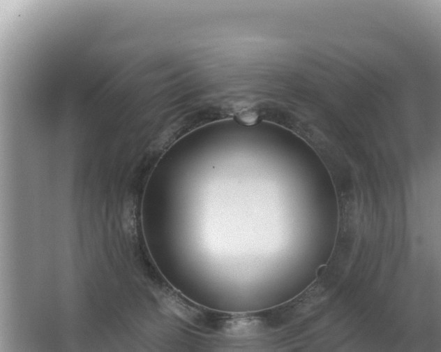 X0000062840274200601171453