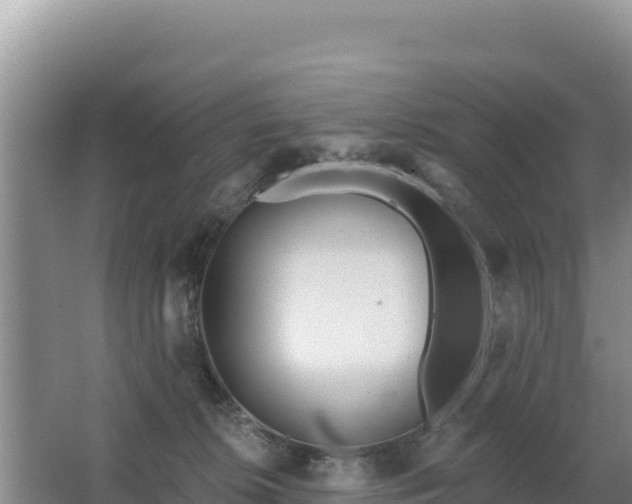 X0000062840276200601171453