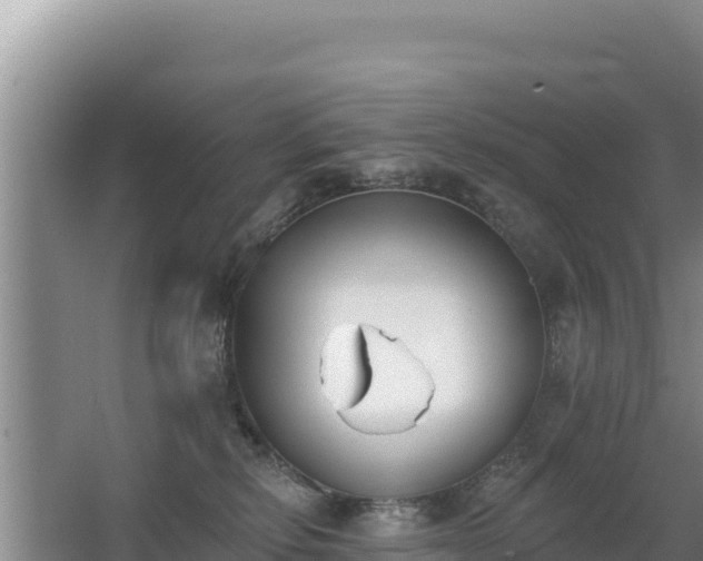 X0000062840278200601171453