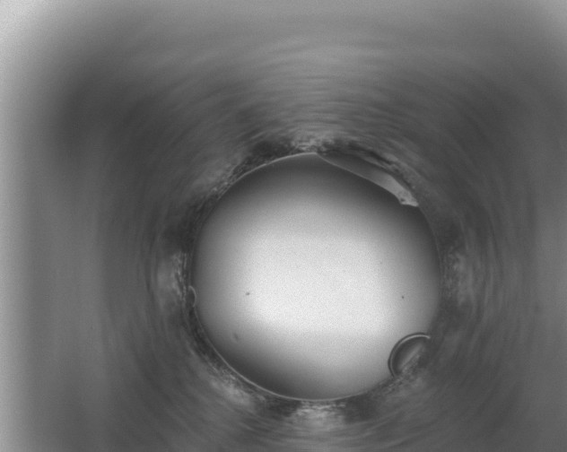 X0000062840280200601171453