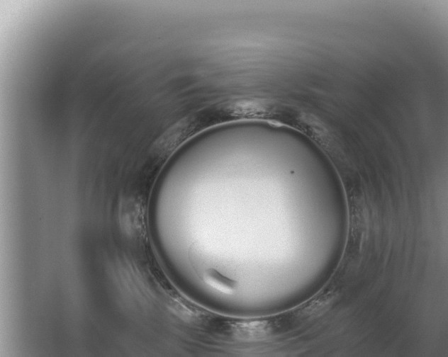 X0000062840281200601171453