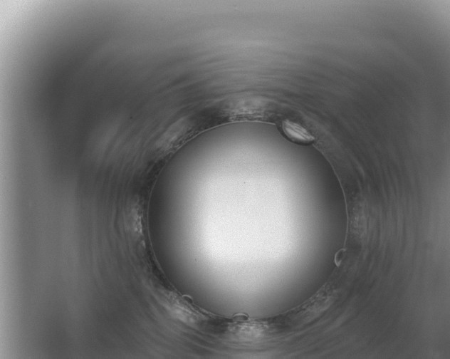 X0000062840282200601171453