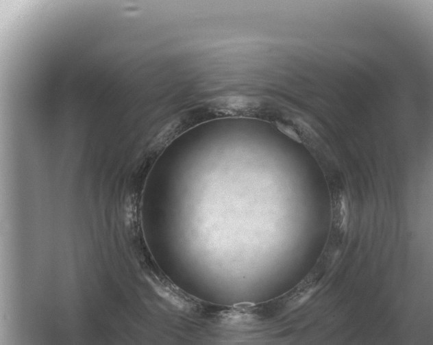 X0000062840284200601171453