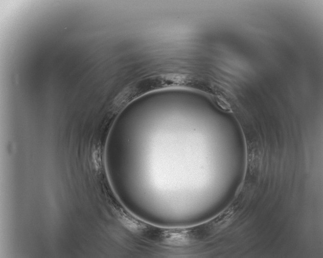 X0000062840285200601171453