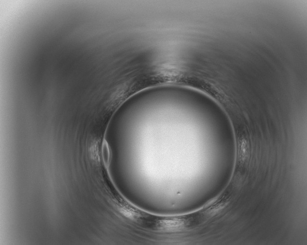 X0000062840286200601171453