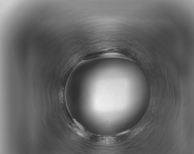 X0000062840288200601171453