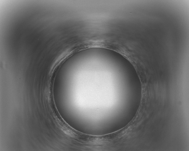 X0000062840293200601171452