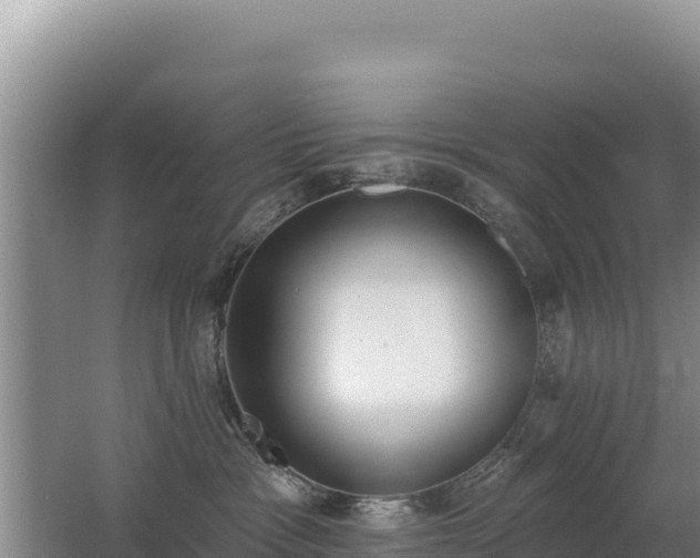 X0000062840333200601171452