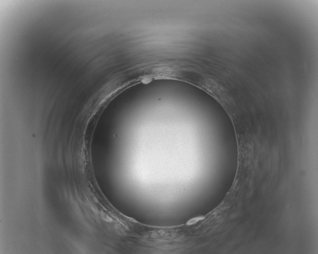 X0000062840338200601171451