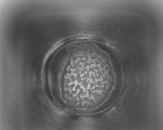 X0000062840343200601171451
