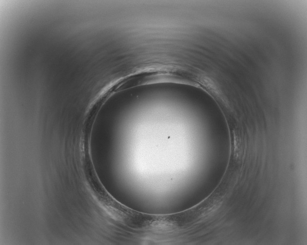 X0000062840348200601171451