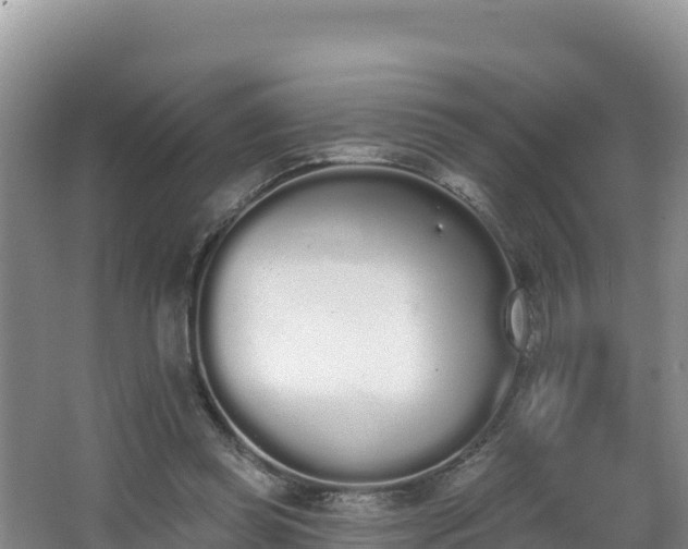 X0000062840349200601171451