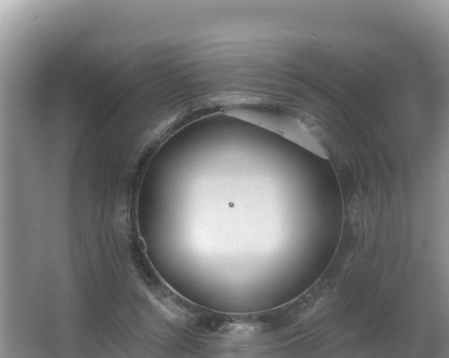 X0000062840352200601171451