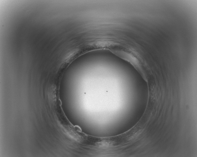 X0000062840356200601171451