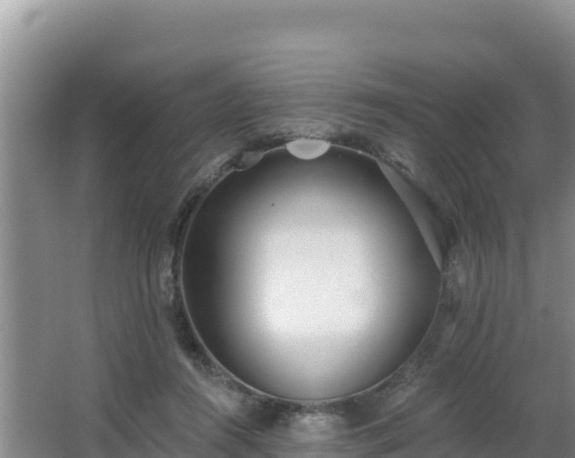 X0000062840360200601171451