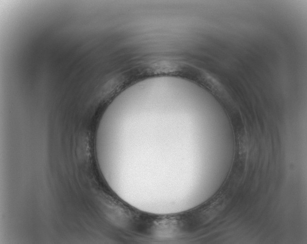 X0000062840362200601171451