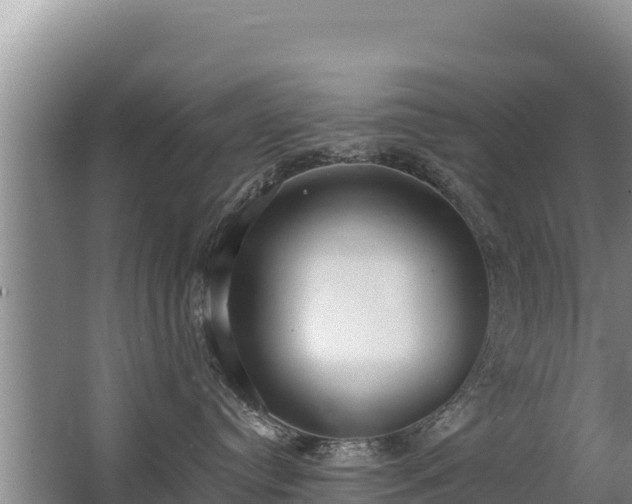 X0000062840384200601171451