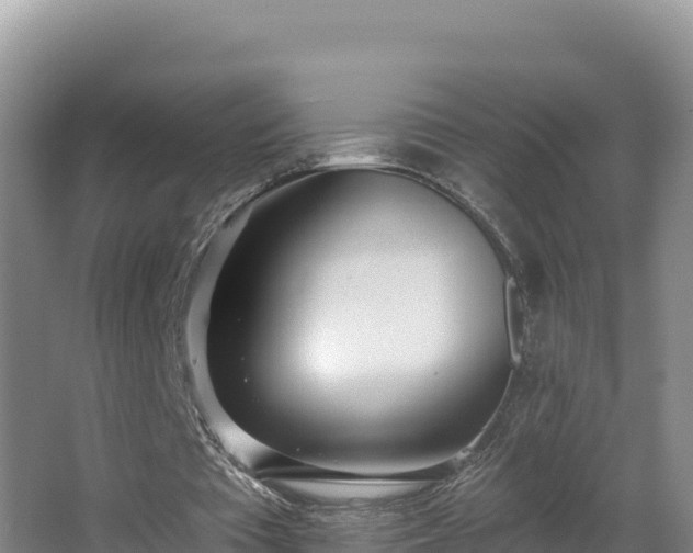 X0000062840385200601171451